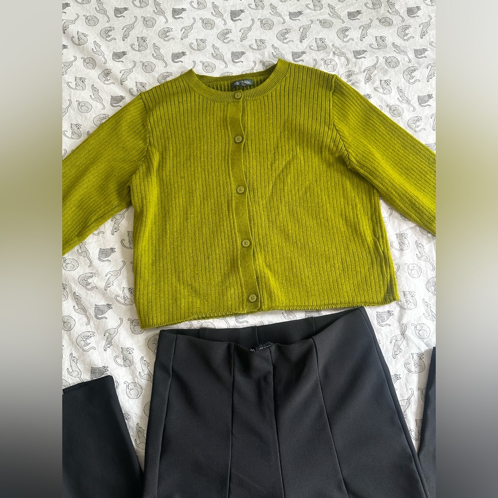 ZARA PANTS & TARGET SWEATER - Picture 5 of 9